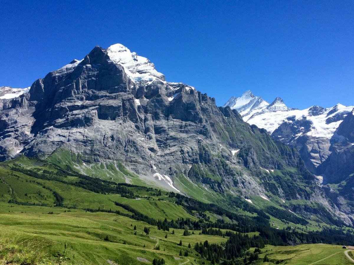 Wetterhorn, Eiger, Jungfrau, Amazing! Apartment Grindelwald Ngoại thất bức ảnh