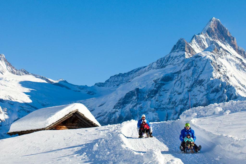 Wetterhorn, Eiger, Jungfrau, Amazing! Apartment Grindelwald Ngoại thất bức ảnh