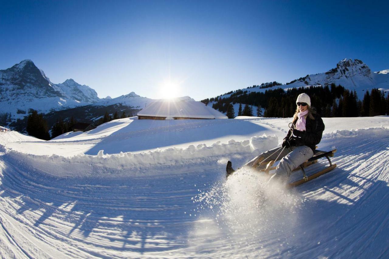 Wetterhorn, Eiger, Jungfrau, Amazing! Apartment Grindelwald Ngoại thất bức ảnh